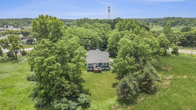 1156 N Bridge St, Linden, MI 48451 - view from above of property
