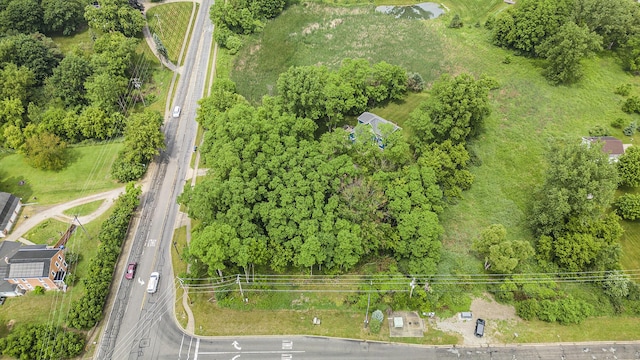 1156 N Bridge St, Linden, MI 48451 - bird's eye view