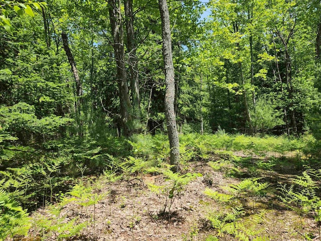 2867 Folks Rd NE, Kalkaska, MI 49646 - photo 10