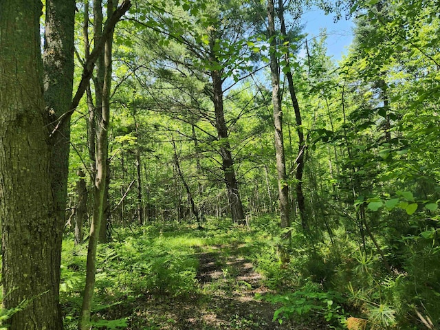 2867 Folks Rd NE, Kalkaska, MI 49646 - photo 17