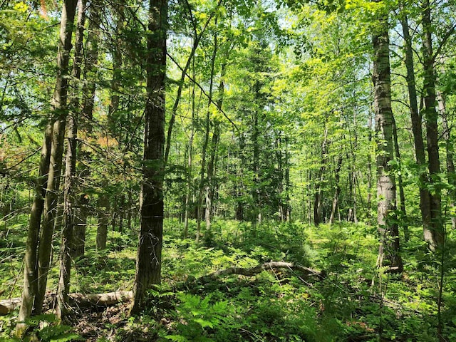 2867 Folks Rd NE, Kalkaska, MI 49646 - photo 13
