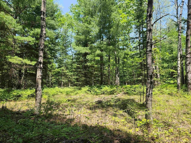 2867 Folks Rd NE, Kalkaska, MI 49646 - photo 18