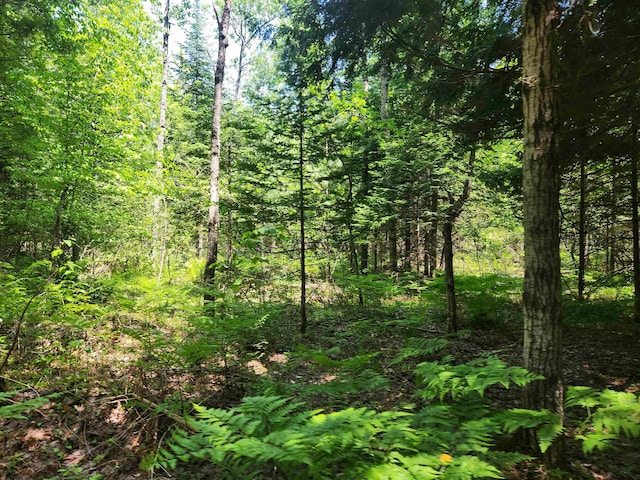 2867 Folks Rd NE, Kalkaska, MI 49646 - photo 8