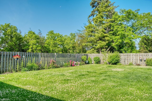 845 Riverlane Dr, Owosso, MI 48867 - view of fenced backyard