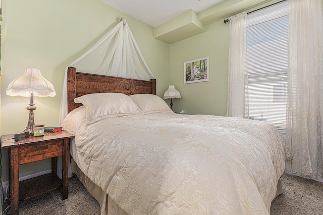 209 Maple St, Three Oaks, MI 49128 - bedroom featuring carpet and multiple windows