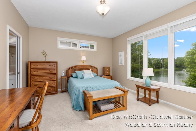 1809 Woodside Trl NW, Grand Rapids, MI 49504 - bedroom featuring light carpet