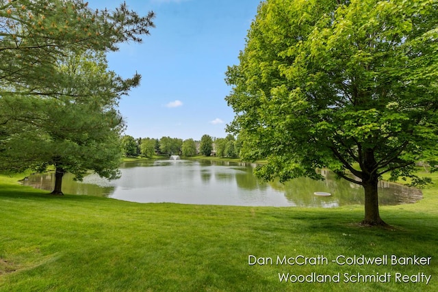 1809 Woodside Trl NW, Grand Rapids, MI 49504 - water view
