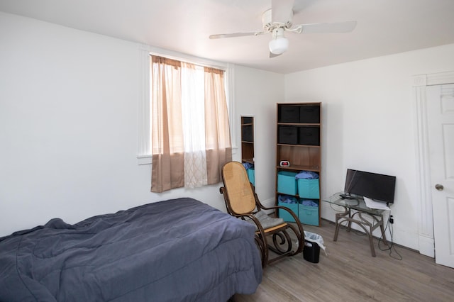 246 Powell St SE, Grand Rapids, MI 49507 - bedroom with wood finished floors and a ceiling fan