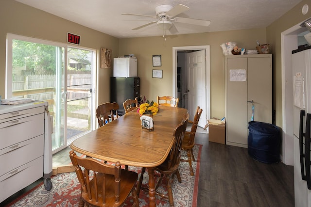 246 Powell St SE, Grand Rapids, MI 49507 - dining area featuring wood finished floors and a ceiling fan