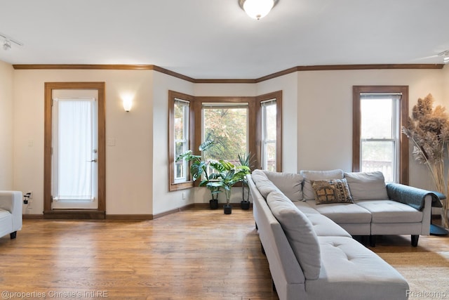 4751 Trumbull St, Detroit, MI 48208 - living area featuring plenty of natural light, light wood-type flooring, and ornamental molding