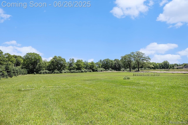 2999 Metamora Rd, Metamora, MI 48455 - photo 20