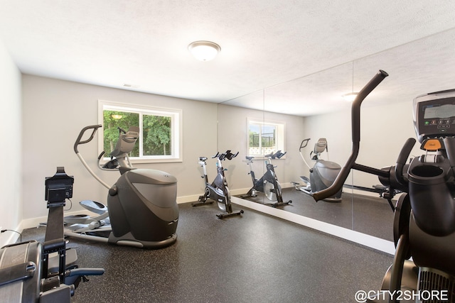 3905 Sunset Vw, Wayland, MI 49348 - exercise room featuring healthy amount of natural light and a textured ceiling