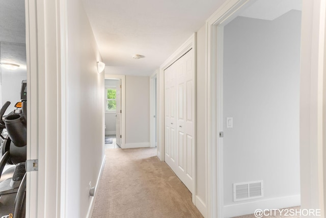 3905 Sunset Vw, Wayland, MI 49348 - hall featuring light carpet and baseboards