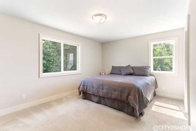 3905 Sunset Vw, Wayland, MI 49348 - bedroom featuring multiple windows and carpet