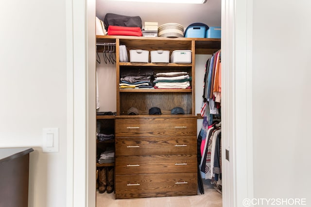 3905 Sunset Vw, Wayland, MI 49348 - view of closet