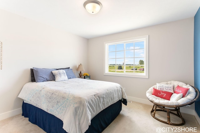 3905 Sunset Vw, Wayland, MI 49348 - bedroom with carpet floors