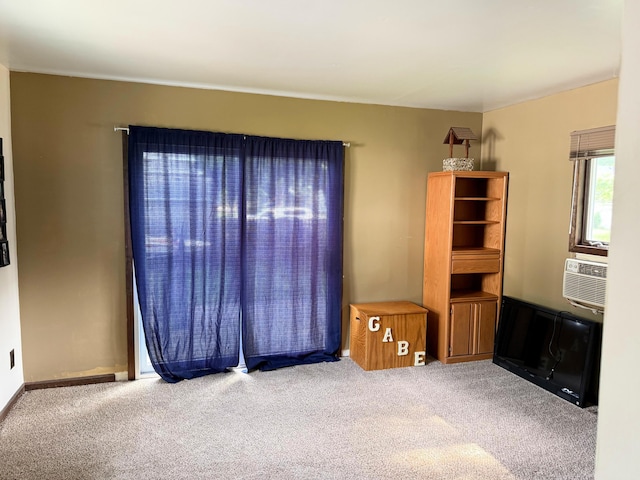 423 E Prairie St, Vicksburg, MI 49097 - empty room with carpet and cooling unit