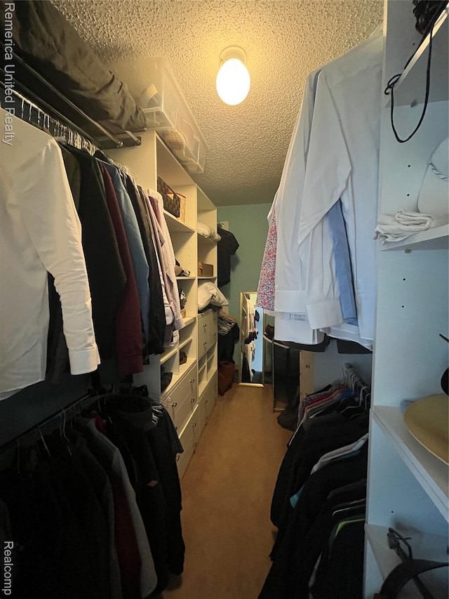 35754 Castlewood Ct, Westland, MI 48185 - walk in closet with carpet