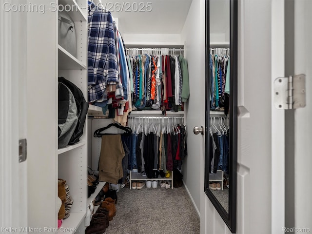 3991 Forester Blvd, Auburn Hills, MI 48326 - spacious closet with carpet
