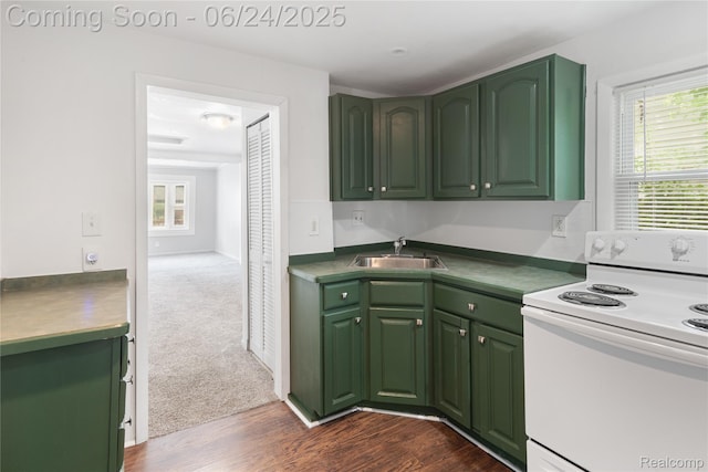 2814 Crooks Rd, Royal Oak, MI 48073 - kitchen featuring white electric stove, green cabinets, dark wood-type flooring, and dark colored carpet