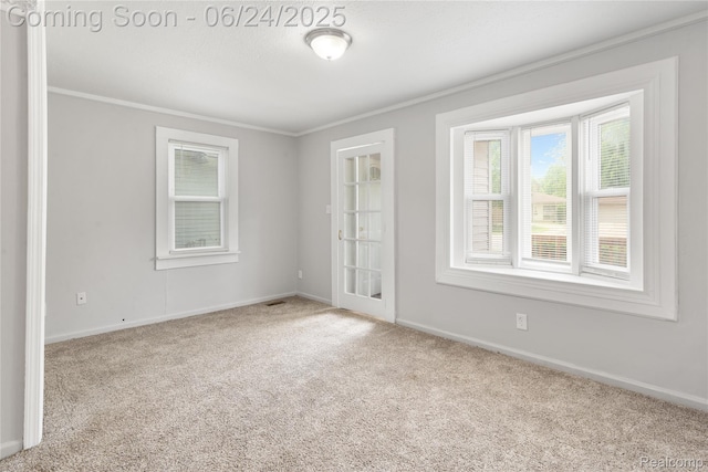 2814 Crooks Rd, Royal Oak, MI 48073 - carpeted empty room featuring crown molding and baseboards