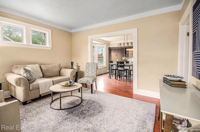22500 Boulder Ave, Eastpointe, MI 48021 - living room with plenty of natural light, wood finished floors, and crown molding