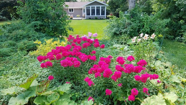 611 Sunset Ln, Cadillac, MI 49601 - photo 42