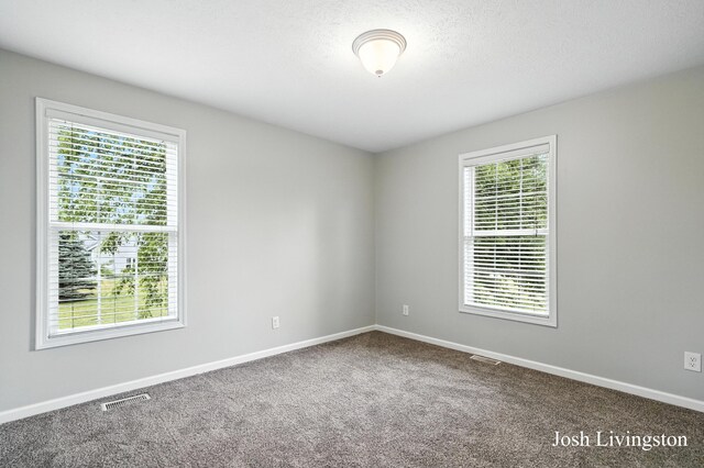 9337 Andrew Farms Dr, Alto, MI 49302 - photo 18