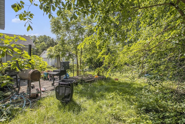 103 Webber St, Battle Creek, MI 49015 - view of yard
