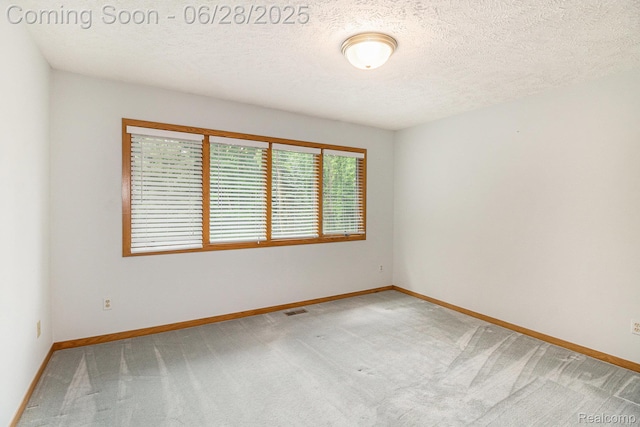 6375 Perryville Rd, Holly, MI 48442 - empty room with light carpet and a textured ceiling