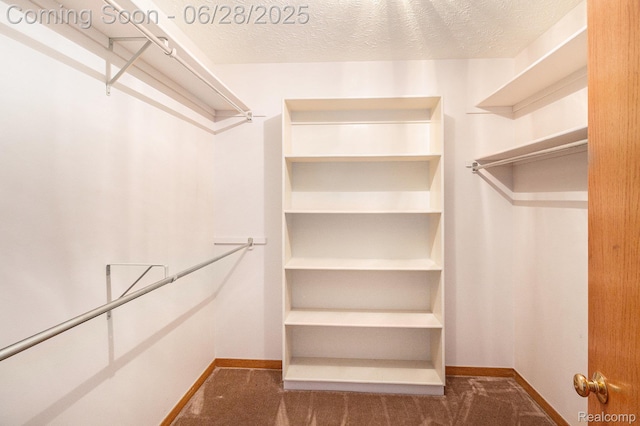 6375 Perryville Rd, Holly, MI 48442 - walk in closet featuring carpet floors