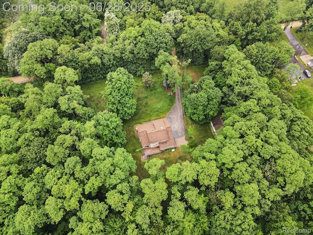 6375 Perryville Rd, Holly, MI 48442 - view of property location