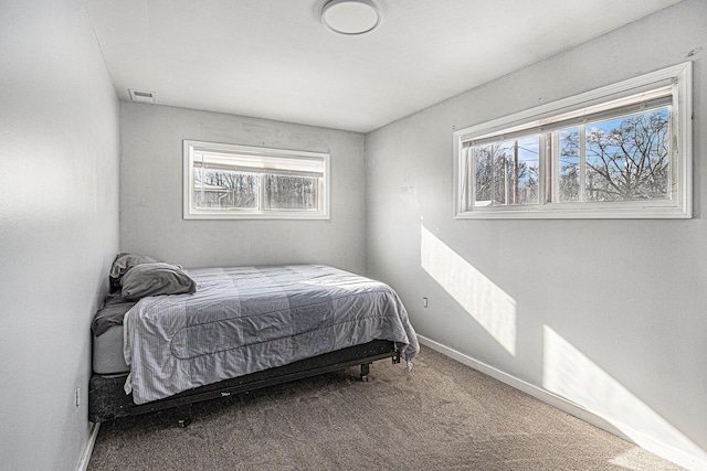 9922 S Sprinkle Rd, Portage, MI 49002 - carpeted bedroom with multiple windows