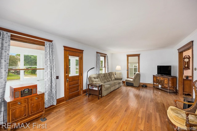 442 Washington St, Marine City, MI 48039 - living area featuring light wood-style flooring and crown molding