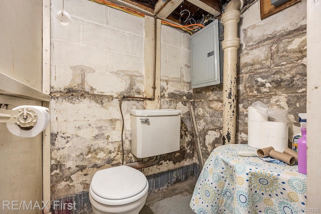 442 Washington St, Marine City, MI 48039 - unfinished below grade area with electric panel