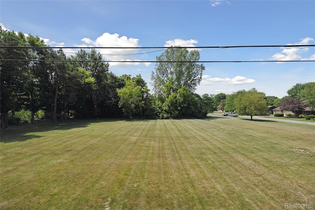 3395 W Maple Rd, Wixom, MI 48393 - view of green lawn