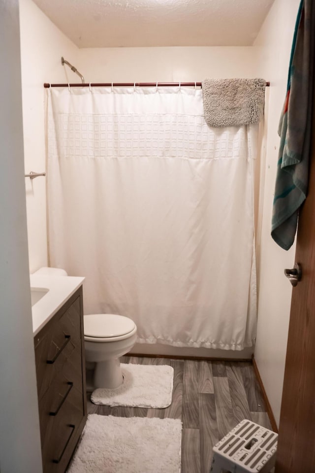 181 Spring St, Hillsdale, MI 49242 - full bathroom featuring vanity, wood finished floors, and a shower with shower curtain