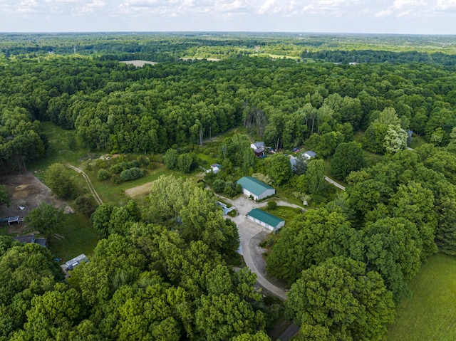 11303 W Dr N, Bellevue, MI 49021 - aerial view of property and surrounding area featuring a heavily wooded area