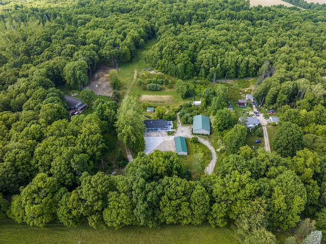 11303 W Dr N, Bellevue, MI 49021 - aerial overview of property's location with a forest