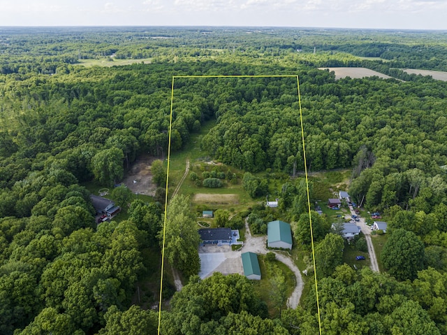 11303 W Dr N, Bellevue, MI 49021 - aerial view of property's location with a forest and property parcel outlined
