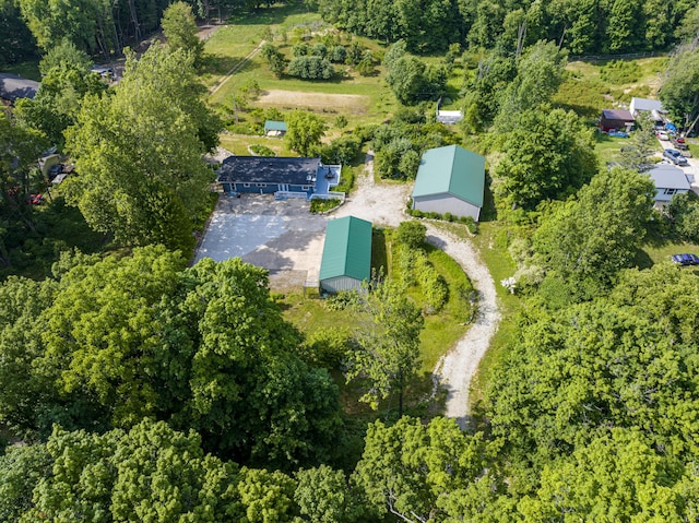11303 W Dr N, Bellevue, MI 49021 - aerial overview of property's location