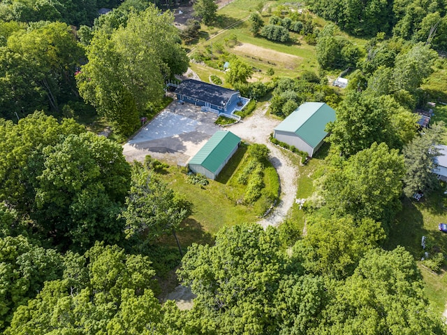 11303 W Dr N, Bellevue, MI 49021 - aerial view of property's location