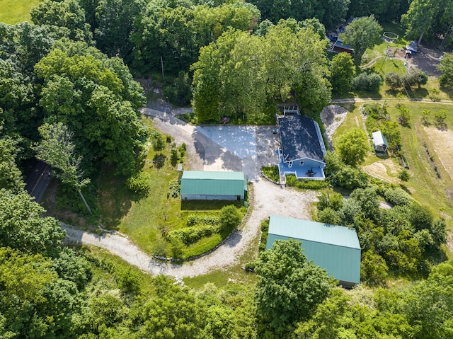 11303 W Dr N, Bellevue, MI 49021 - aerial view