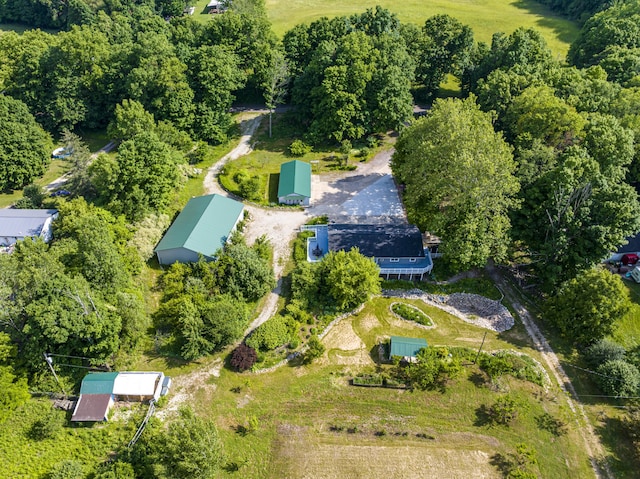 11303 W Dr N, Bellevue, MI 49021 - aerial view of property's location