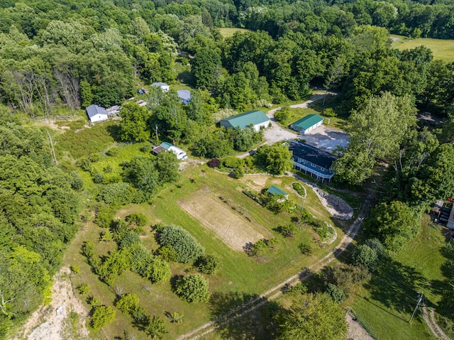 11303 W Dr N, Bellevue, MI 49021 - view of property location with a forest
