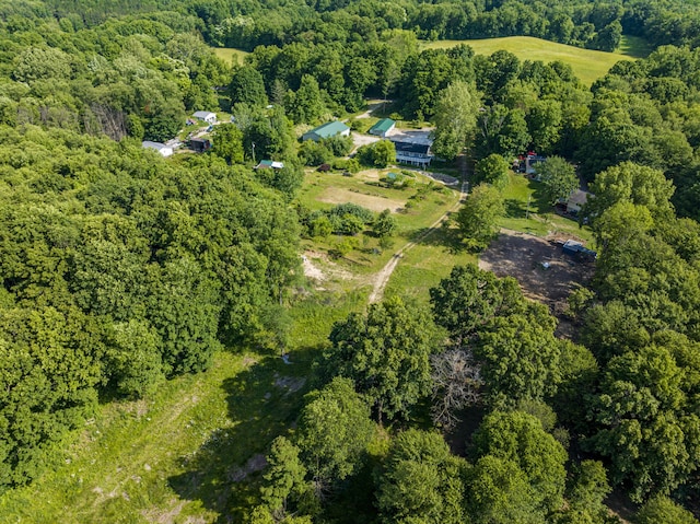 11303 W Dr N, Bellevue, MI 49021 - aerial view of property's location with a heavily wooded area