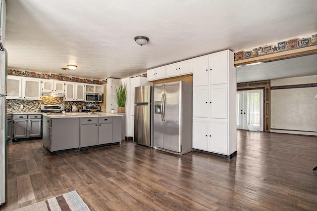 11303 W Dr N, Bellevue, MI 49021 - kitchen with appliances with stainless steel finishes, light countertops, under cabinet range hood, dark wood-type flooring, and glass insert cabinets