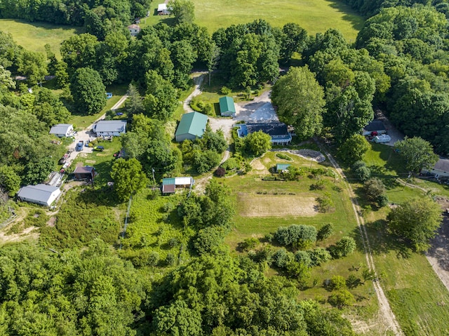 11303 W Dr N, Bellevue, MI 49021 - aerial view of property's location
