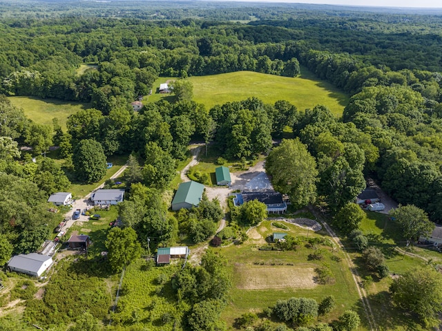 11303 W Dr N, Bellevue, MI 49021 - view of property location featuring a forest