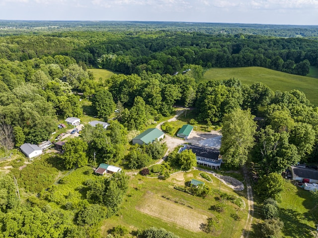 11303 W Dr N, Bellevue, MI 49021 - aerial view of property and surrounding area with a forest